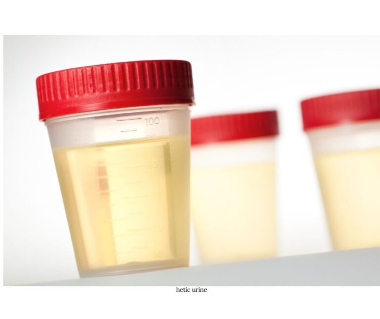 Whizzinator Original and Premium Synthetic Urine Kits Buy Now